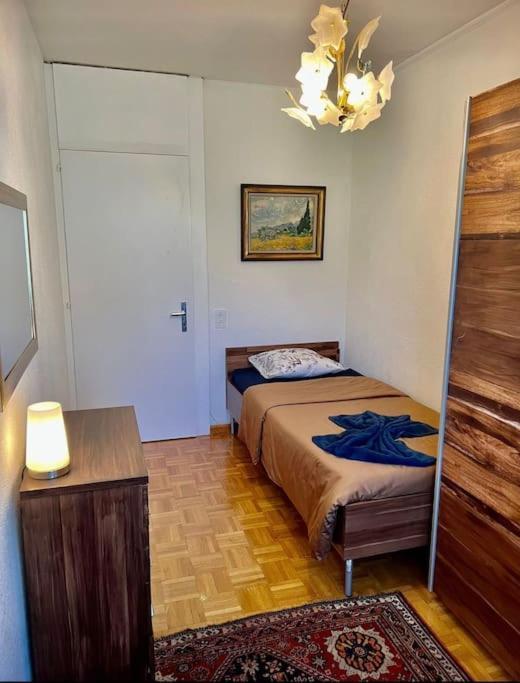 Appartement 7,0 Pieces 3 Chambres Proximite Aeroport Γενεύη Εξωτερικό φωτογραφία